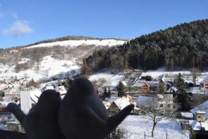 Appartements Les Locations de Stephanie ,Gite Le Verger : photos des chambres