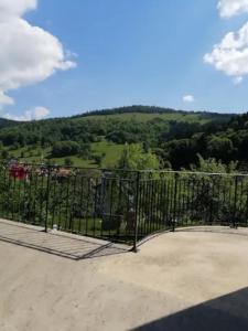 Appartements Les Locations de Stephanie ,gite L'Arbre Vert : photos des chambres