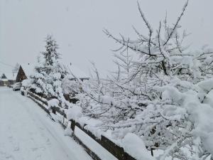 Ferienhaus & Ferienwohnung Wiñay Wayna Gotschna Blick Klosters