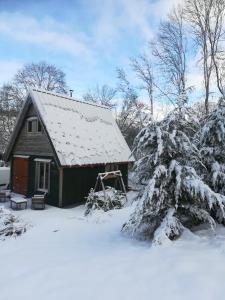 Chalets WillowTree Cottage : photos des chambres