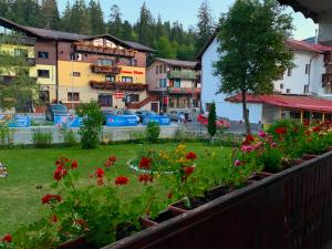 Francescos Mountain Apartment