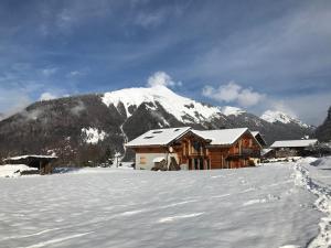 Appartements Appartement Chalet La Merlerie : photos des chambres