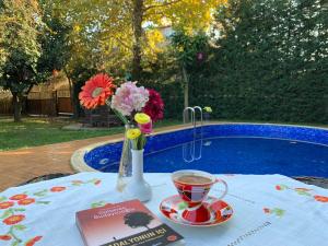 Holiday Sapanca Kırkpınar - Isıtmalı Havuz