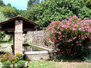 Maisons de vacances Gites les Eaux Claires : photos des chambres