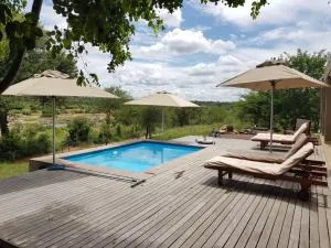 Crocodile Bend - Hectorspruit