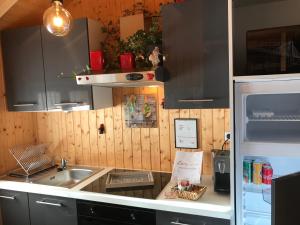 Chalets LE BLANC NORDIQUE : photos des chambres