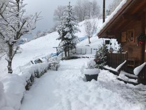 Chalets LE BLANC NORDIQUE : photos des chambres