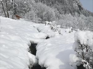 Chalets LE BLANC NORDIQUE : photos des chambres