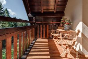 Ski, hike & bike apartmán Rokytnice nad Jizerou