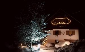 APARTMENT CHALET -BOHINJ- Pokljuka- Triglav National Park 
