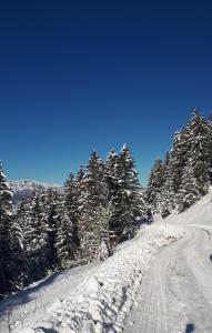 Villages vacances VVF Les 7 Laux Massif de Belledonne : photos des chambres