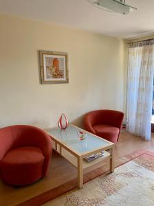 Apartament WISIA na Pardałówce. Taras na Giewont