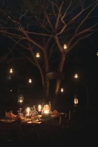 Leopard Safaris Yala