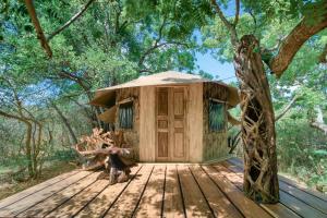 Leopard Safaris Yala