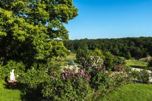 Maisons d'hotes Le Petit Domaine de Bois Avril : photos des chambres