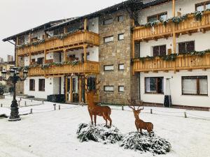 Olympic regina hotel