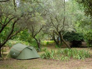 Auberge de Jeunesse HI Nîmes