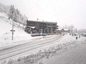 Appartements Nice & cozy apartment facing the gondola - LA BOULE DE NEIGE 112 : photos des chambres