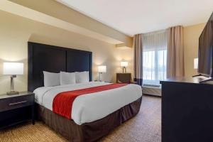 King Room - Non-Smoking room in Comfort Inn & Suites Montgomery Eastchase