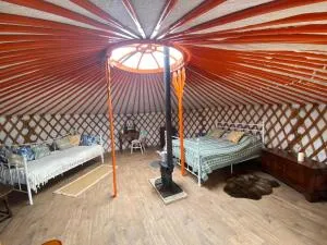 Beautiful Rural Yurt with Wood Fired hot tub - North Cheriton