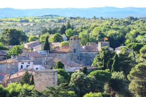 Maisons de vacances Demeure de 8 chambres avec piscine privee jardin clos et wifi a Agel : photos des chambres