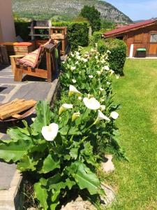 Villa raffinée à Foix avec piscine privée et jacuzzi