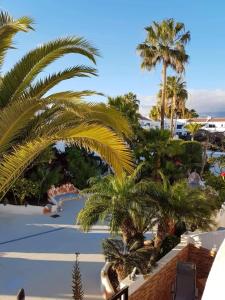 One bedroom appartement with shared pool garden and wifi at Costa del Silencio 1 km away from the beach