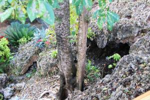 Welcoming House in Las Galeras with Stunning Sea View