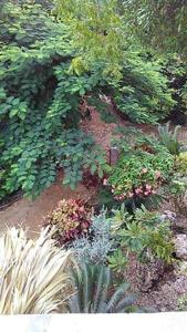 Welcoming House in Las Galeras with Stunning Sea View