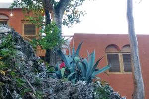 Welcoming House in Las Galeras with Stunning Sea View