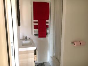 Appartements Appartement d'une chambre avec jardin clos a Saint Andre des Eaux a 7 km de la plage : photos des chambres