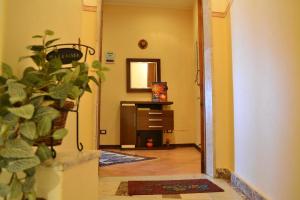 One bedroom appartement with furnished balcony and wifi at Nicolosi