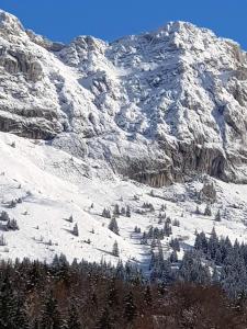 Appartements Studio a Villard de Lans a 100 m des pistes avec balcon : photos des chambres