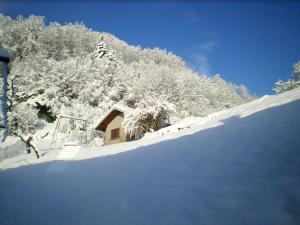 Appartements Appartement charmant a Plancher-les-Mines 40 m² avec jardin : photos des chambres