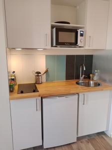 Appartements Studio avec jardin au pied du Revard dans villa : photos des chambres