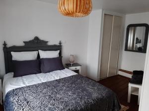 Appartements Les Flots de St Val : photos des chambres