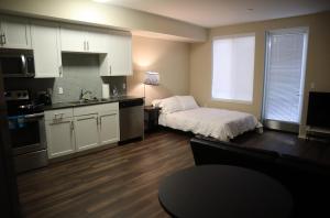 Luxury Apartment in Downtown Sunnyvale - Cars Available - image 1