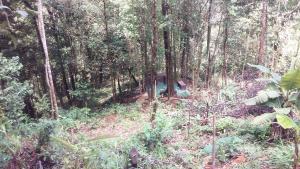 Tu casa de campo, Menus de la Montaña, te espera