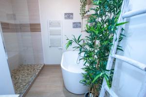 Le Coccon Entre Basso Cambo et Lardenne