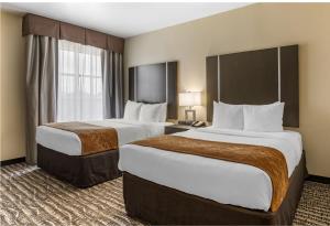 Queen Suite with Two Queen Beds room in Comfort Suites Northwest Houston At Beltway 8