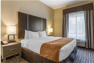 King Suite - Non-Smoking room in Comfort Suites Northwest Houston At Beltway 8