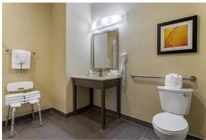 Comfort Suites Near Sam Houston Race Park
