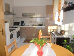 Apartment Bribir 1