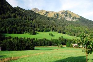 Chalets Chalet Cannelle : photos des chambres