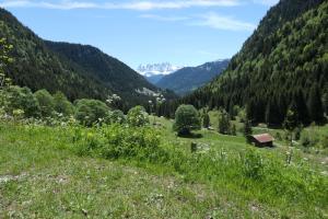 Chalets Chalet Cannelle : photos des chambres