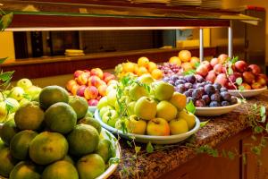 Viking Express Hotel