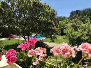 Maisons de vacances La belle histoire Gite Ventoux : photos des chambres