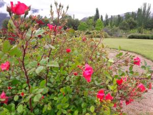 Entre montañas y rio, Cacheuta