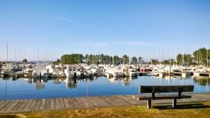 Maisons de vacances Maison charmante a Hourtin avec jardin cloture : photos des chambres