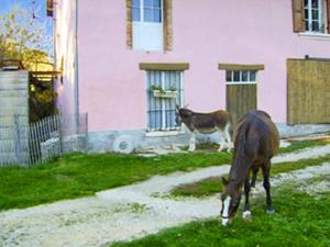 Maisons de vacances Maison de 2 chambres avec jardin clos et wifi a Chirens : photos des chambres